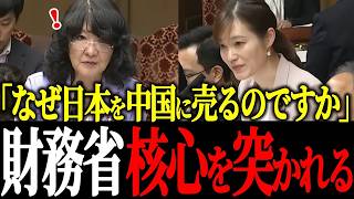 【相続税】塩入議員が激怒の告発！財務省が日本の資産を外国に売っている構造を徹底追求【片山さつき】【財務省】