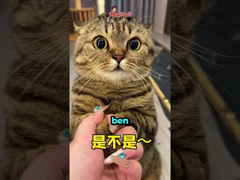 Sizce Doğrumu Söylüyor ? 🤔