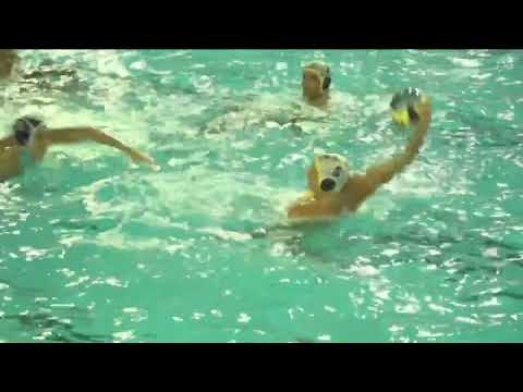 CN Marseille vs Vouliagmeni - Highlights - Champion's League 2023-2024 - Round 1