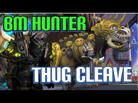 Nobody plays BM hunter anymore so here's some gameplay- Thug Cleave