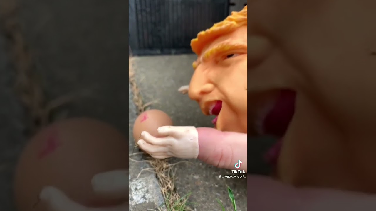 Donald Trump finds a egg. (Credits in description)