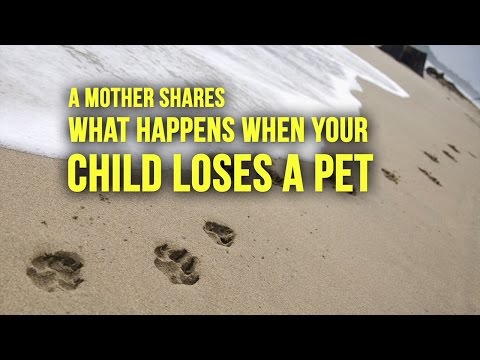 What To Tell Your Child When A Pet Dies