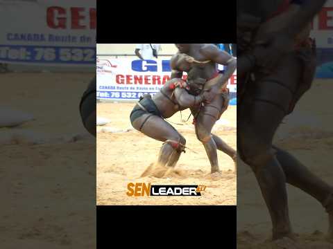 Dollé Doxoul Diameu Djinéé Bou Ndaw Vs Ndiaxass Gui #shorts