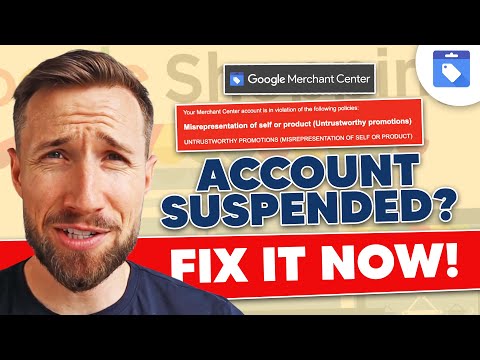 Fixing a Google Merchant Center suspension — full walkthrough