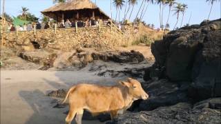 Goa Beach Party @Vagator Ozran Beach India 20.01.2017 We all love Bansi Dj Chicago