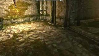 TES V Skyrim. Обычные будни обычного начинающего вора, №1