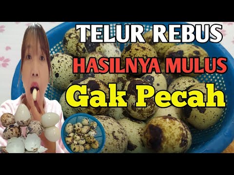 , title : 'Cara Merebus Telur Puyuh Agar Tidak Pecah Mudah di Kupas Super Cepat'