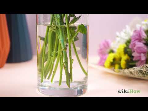 YouTube video about: How long does kitchen bouquet last?