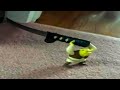 You Laugh 2 Times You Lose