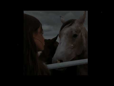 (FREE) MACAN x Xcho x BAGARDI Type Beat - "More"