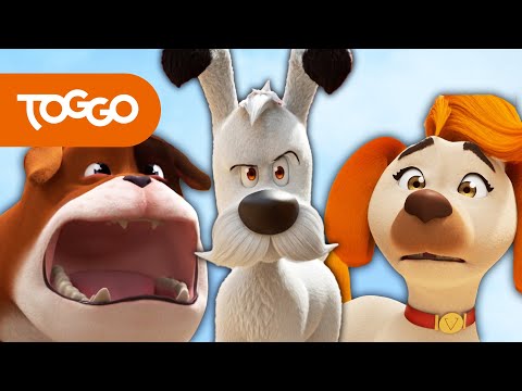 Idefix Deutsch | Liebeskummer | Ganze Folge | TOGGO Serien