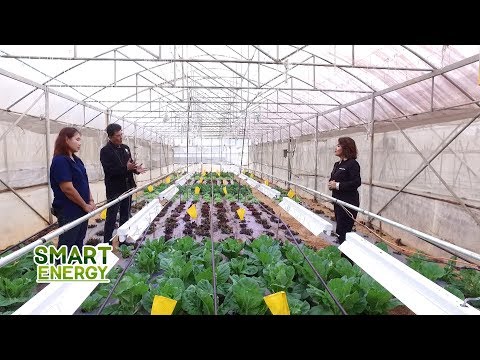 สถานีเกษตรหลวงปางดะ