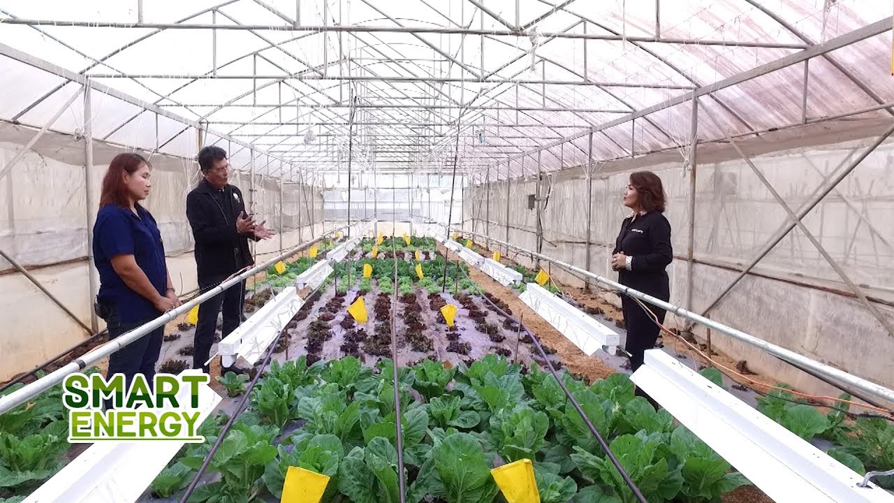 Pang Da Royal Agricultural Station