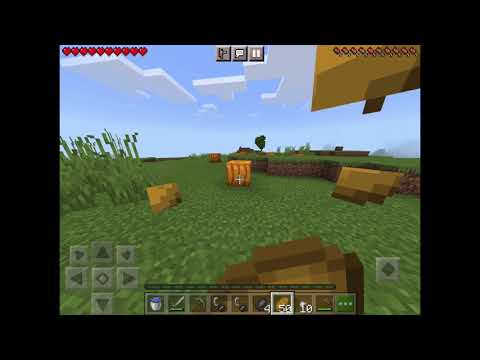 Provo la mia prima speedrun!