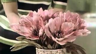 Saun & Starr - Gonna Make Time