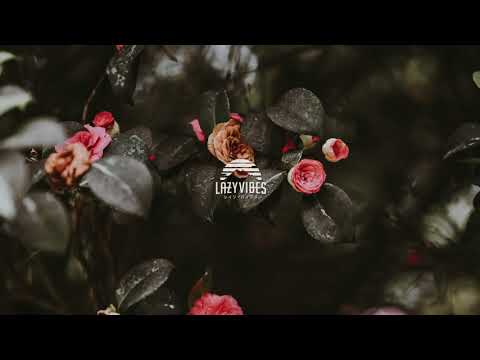 zamir - flowers in decay (w/ importmedia)