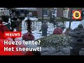 Flinke sneeuwbui midden in de lente ❄️ | Omroep Brabant