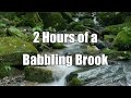 2 Hours of a Babbling Brook - Sleep Sounds