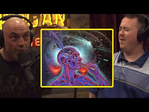 Rogan & Shane Gillis Share Horror Psychedelic Experiences