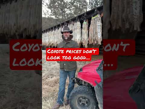 Getting Ready To Sell Out… Fur Sale time