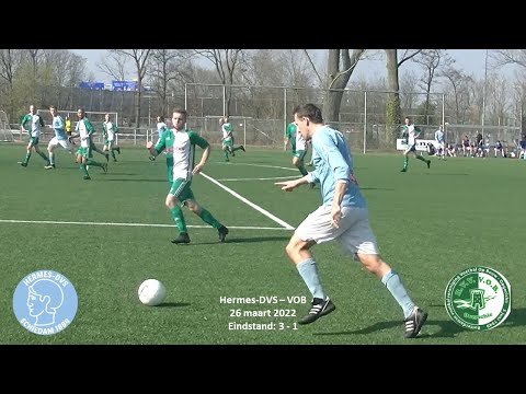Samenvatting Hermes-DVS - VOB