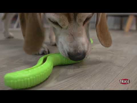 Trixie Dog Coiled Snack Snake Trixie Dog Coiled Snack Snake