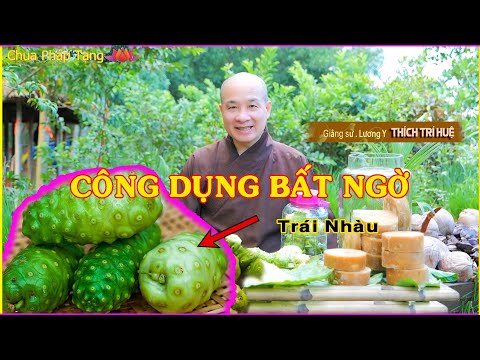 Bài thuốc trị xương khớp hiệu quả từ trái nhàu với thầy Thích Trí Huệ - chùa Pháp Tạng