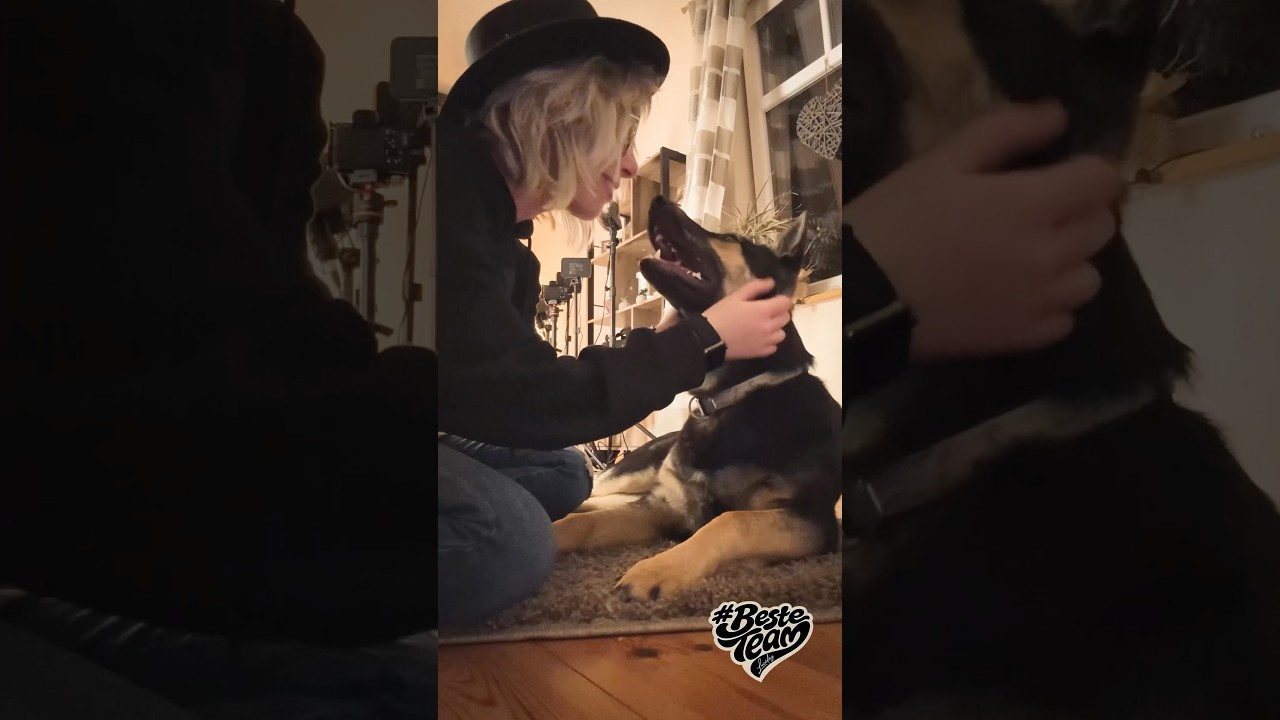 Mit wem seid ihr zusammen das #besteteam ?✨💛🫶🏻 #lucidez #besteteam #neuemusik #tierschutz