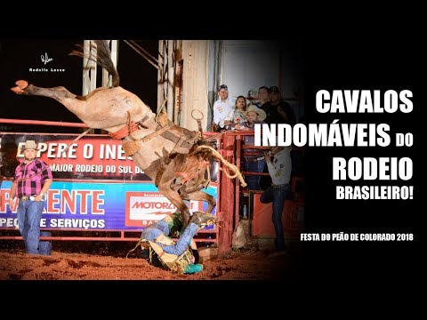 Cavalos Indomáveis - Rodeio em Cutiano Colorado 2018