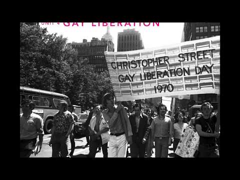 WGS 224 : Video lecture for Stonewall Forever Collections 3 4 5 (03.19.20)