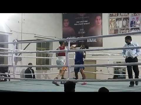 Professional boxing fight