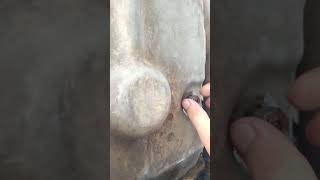 Que es obd p1700 Nissan