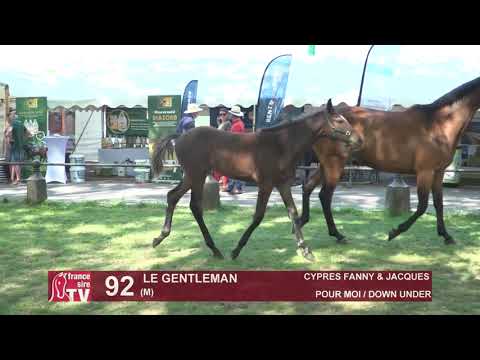 Sprinter Sacré Show 2021 : Lot 92 - Le Gentleman
