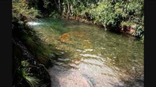 Qualquer Coisa a Ver com o Paraíso Milton Nascimento