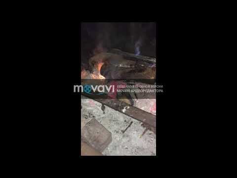 Новый проект 41