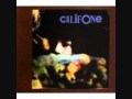 The Orchids - Califone