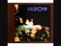 The Orchids - Califone 