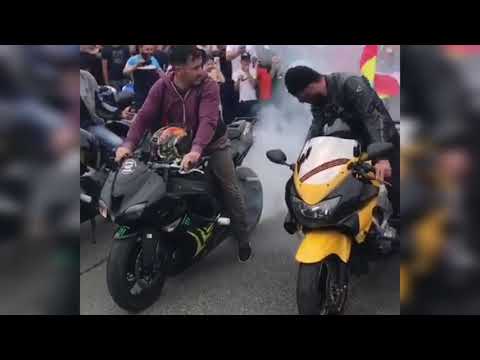 Alania moto. Triticum - Petrunko