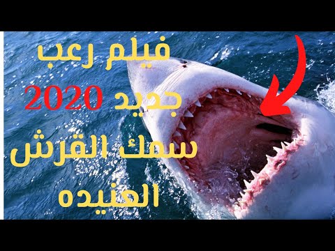 Download أقوى فيلم أسماك القر ش 2020 3gp Mp4 Codedwap