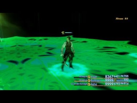 FF12 TZA || Trial Mode - Stage 89 - Fafnir OS Glitch