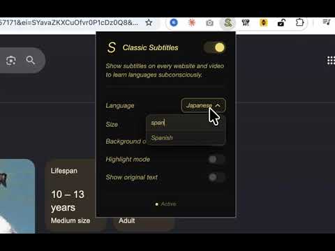 Item video thumbnail