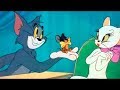 Tom And Jerry Casanova Cat