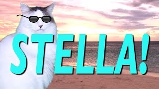 HAPPY BIRTHDAY STELLA! - EPIC CAT Happy Birthday Song