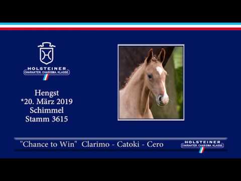 Fohlenauktion Hamburger Derby | Nr. 01 - Chance to Win v. Clarimo-Catoki