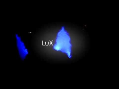 Catears - Glow in the Dark Headphones | Dango Crew