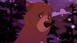 Brother Bear - Perfect (Hedley) [AMV]
