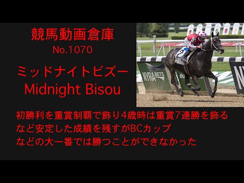 【競馬】ミッドナイトビズー　Midnight Bisou【No1070】
