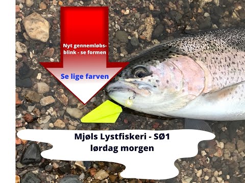 Mjøls Lystfiskeri
