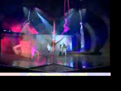 Viva Aerial Dance - Signature Group Silks Act