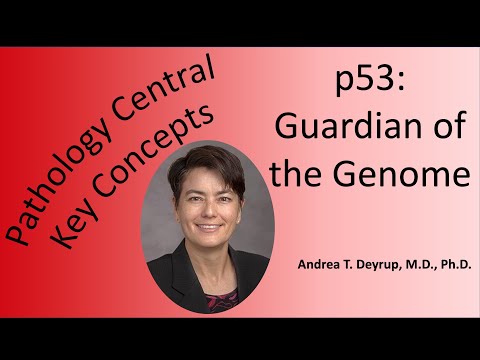 Pathology Central Key Concepts: p53
